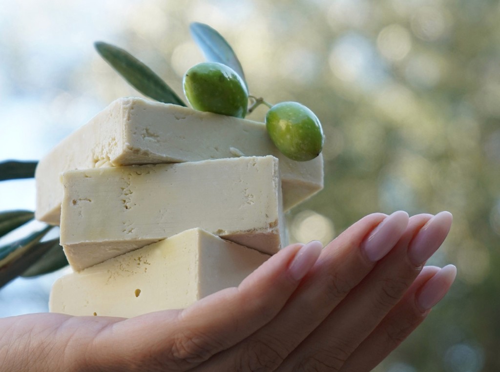 Handmade baladi soap bars with an olive branch