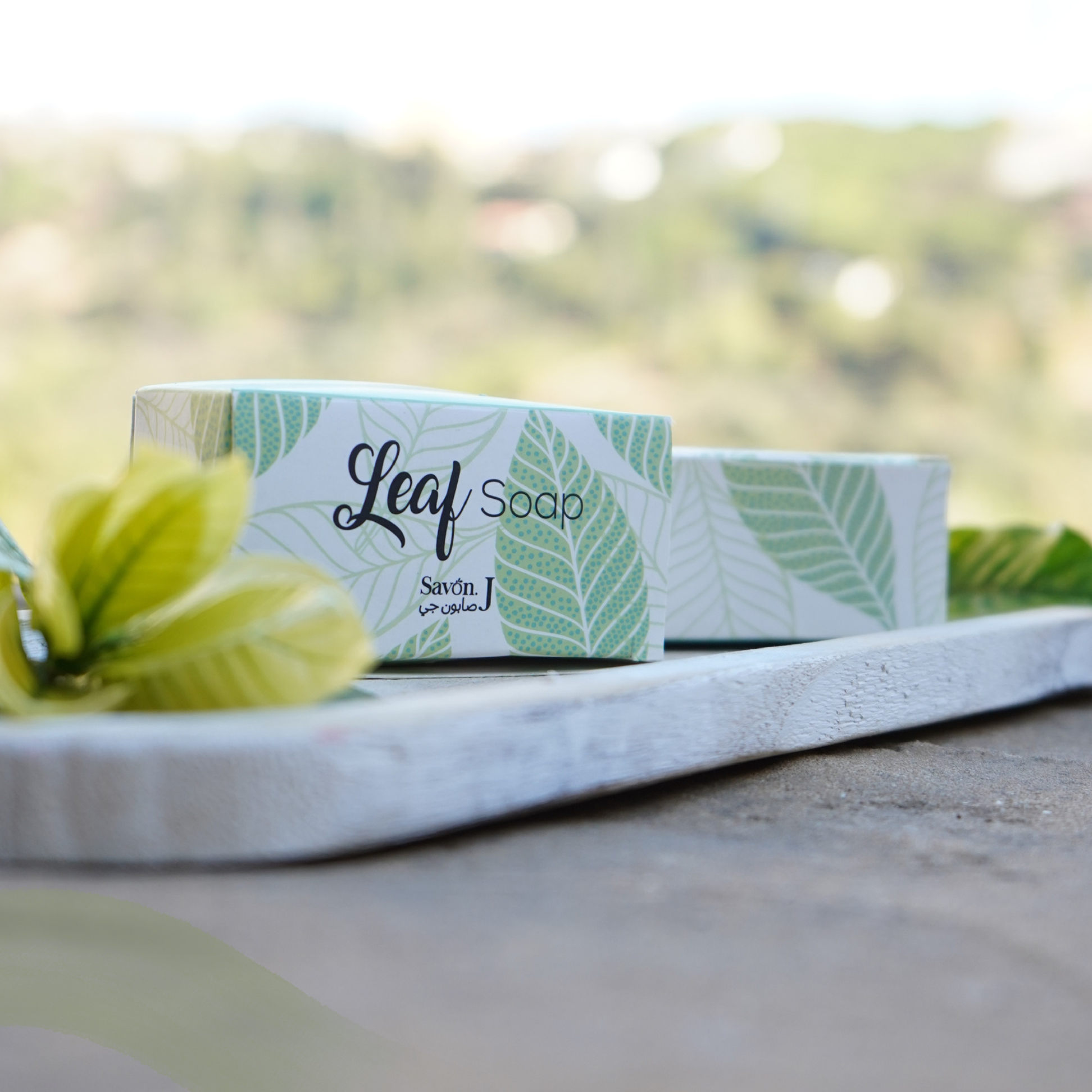 Savon. J Leaf Soap in the Lebanese hills